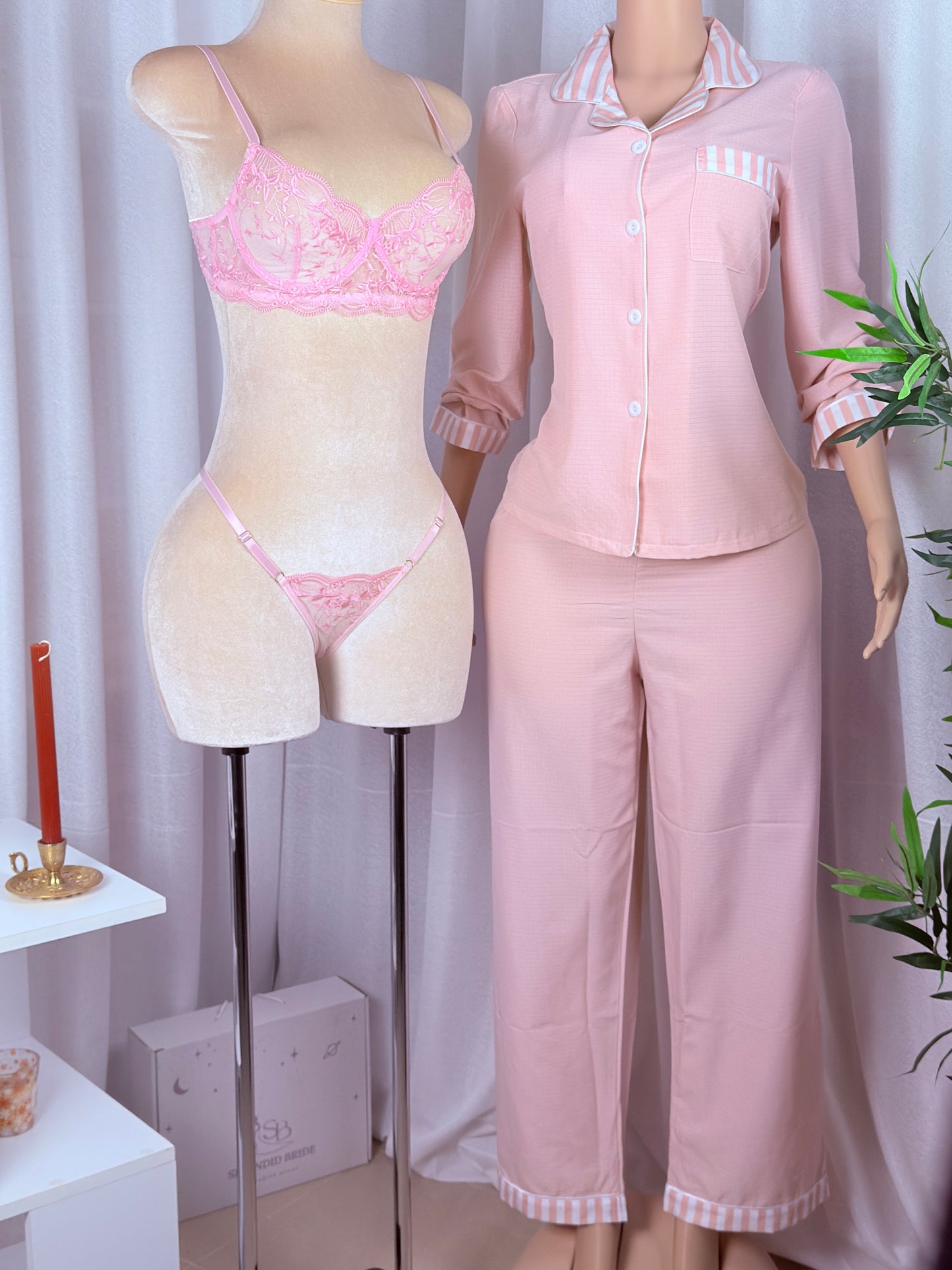 Pyjama rose